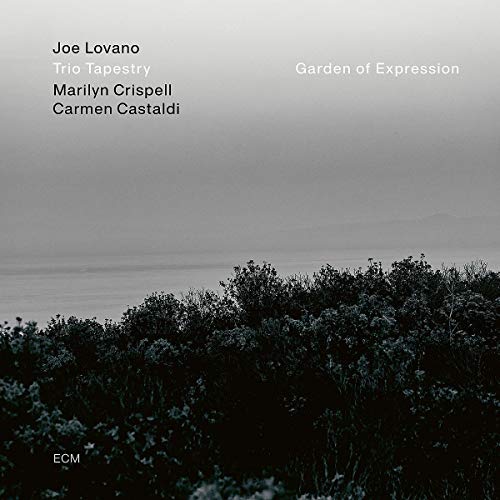 Joe Lovano - Garden of Expression - Import Vinyl LP Record