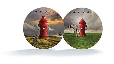 Rush - Signals (40th Anniversary)[Picture Disc LP] - Import LP Record