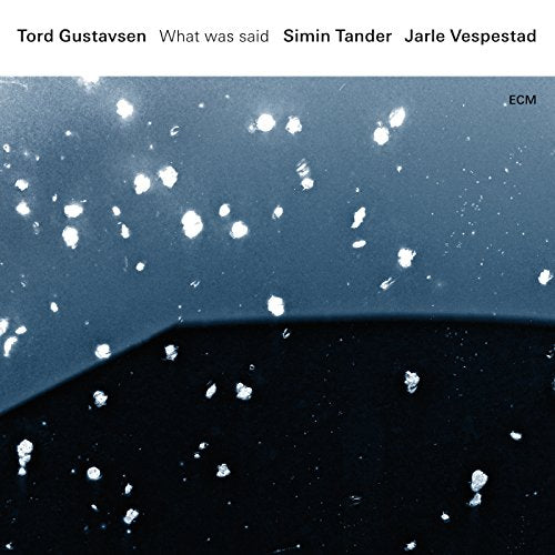 Tord Gustavsen - What Was Said - Import LP Record
