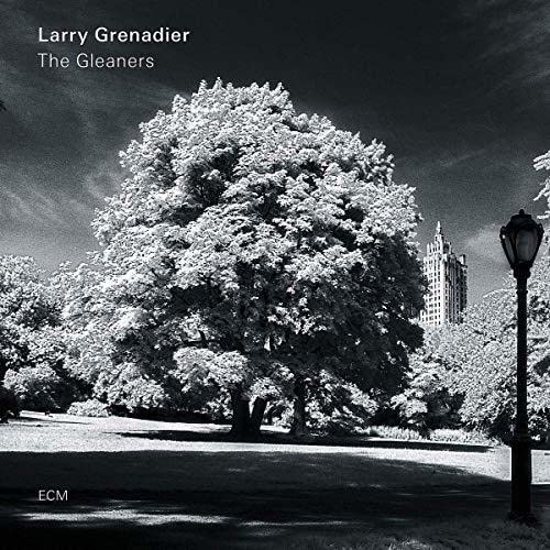 Larry Grenadier - The Gleaners - Import CD