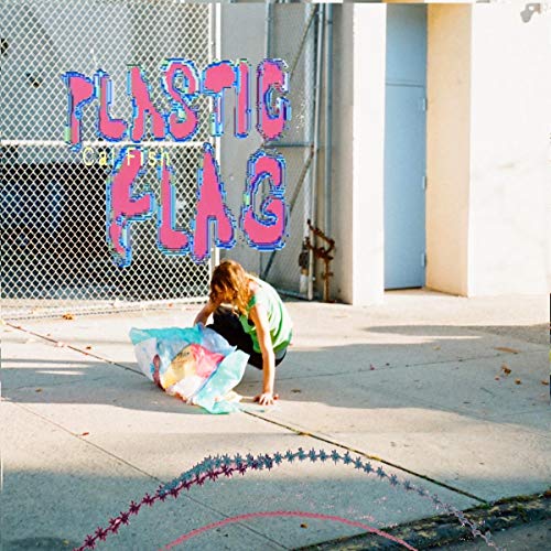 Cal Fish - Plastic Flag - Import LP Record