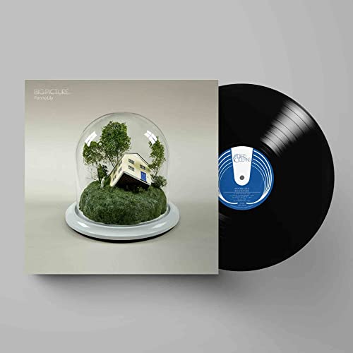 Fenne Lily - Big Picture - Import LP Record