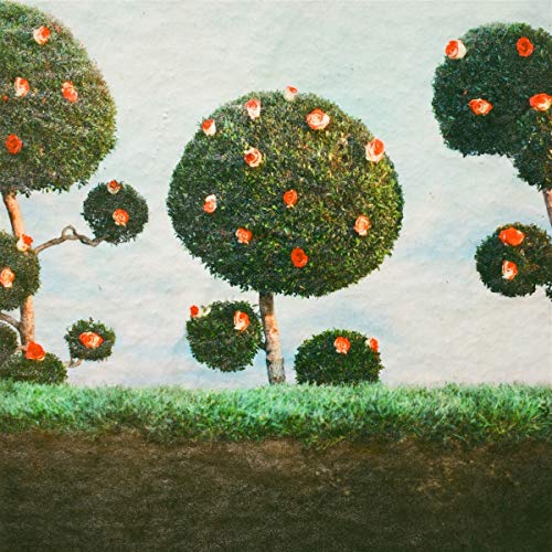 Midnight Sister - Painting the Roses - Import LP Record