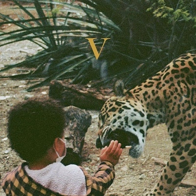 Unknown Mortal Orchestra - V - Import CD