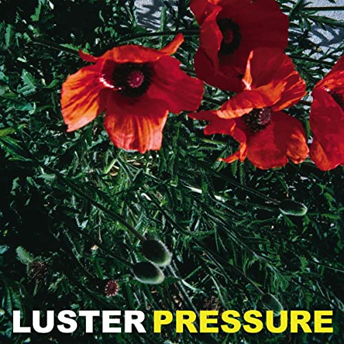 Luster - Pressure - Import Vinyl LP Record Limited Edition