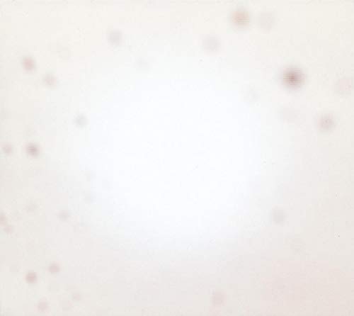 Yo La Tengo - There's A Riot Going On (Orange Vinyl) - Import LP Record