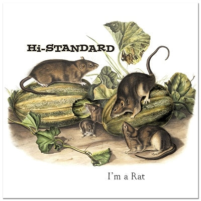 Hi-Standard - I'm a Rat＜Picture Vinyl＞ - Import 7’ Single Record