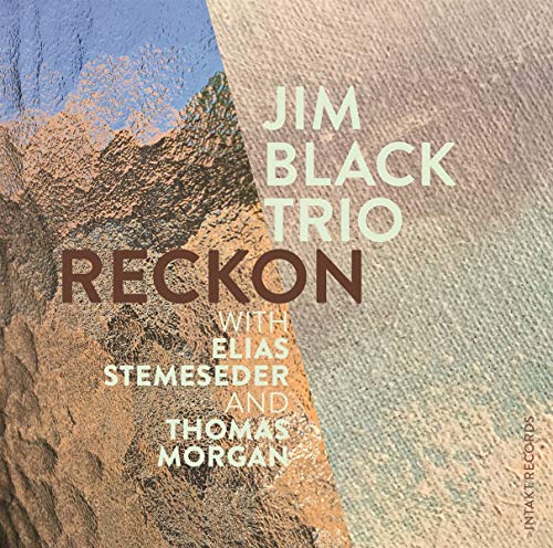 Jim Black Trio - Reckon - Import CD