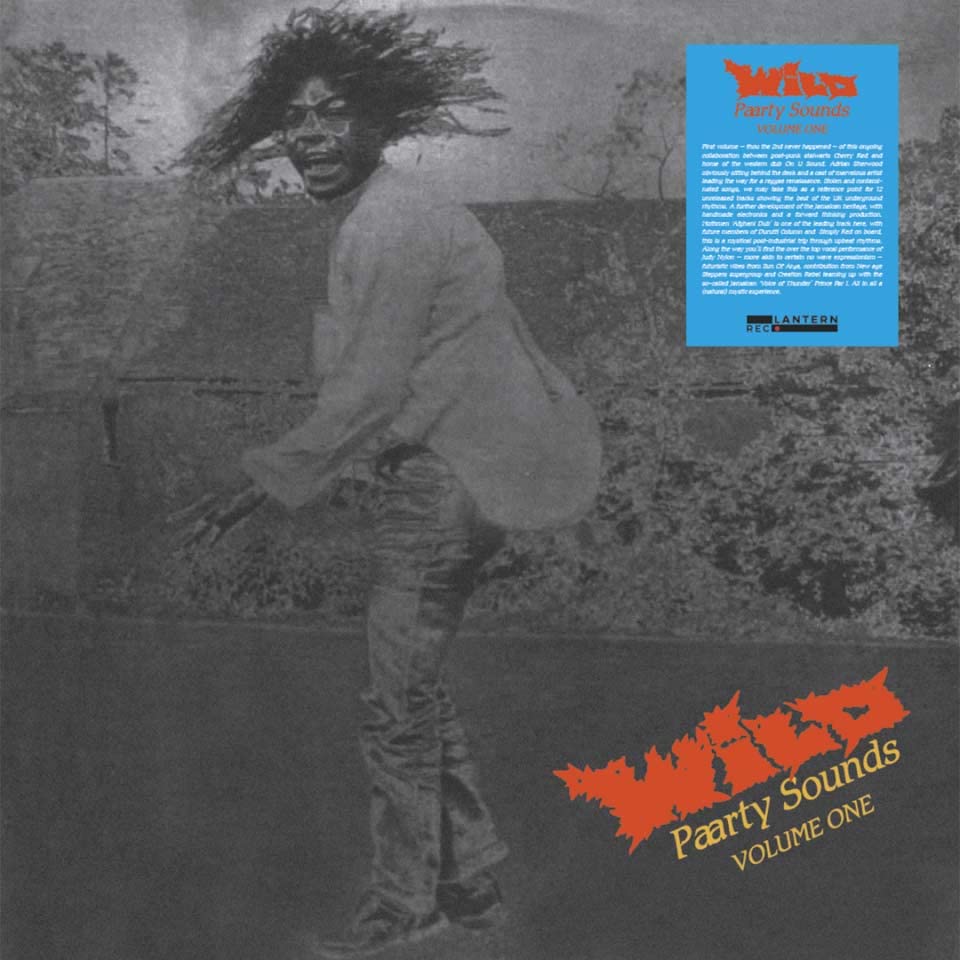 Various Artists - Wild Paarty Sound - Import Vinyl LP Record