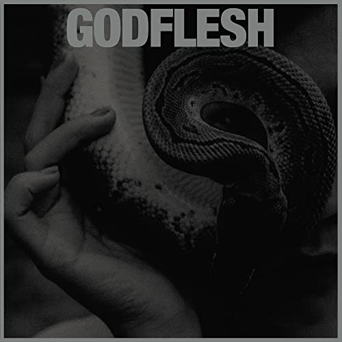 Godflesh - Purge - Import LP Record