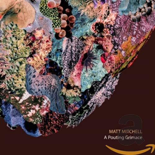 Matt Mitchell (Piano) - Pouting Grimace - Import CD