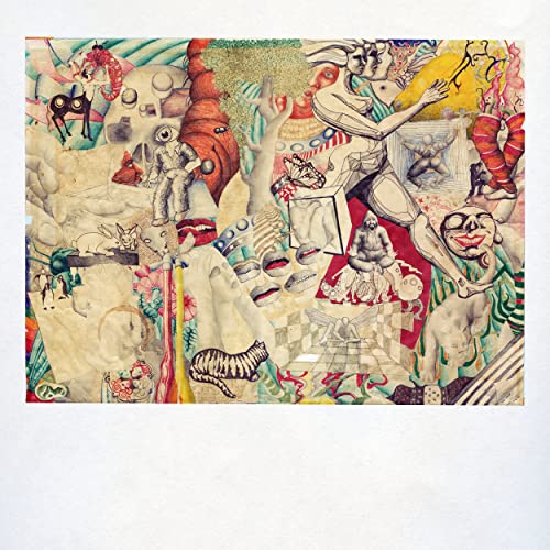 Teen Suicide - Honeybee Table at the Butterfly Feast - Import LP Record