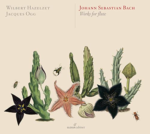 Bach (1685-1750) - (Flute)Cello Suites Nos.1, 2, 3, Organ Sonatas : Hazelzet(transverse)Ogg(Cemb)(2CD) - Import 2 CD