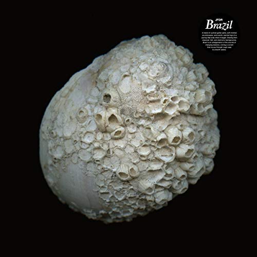 Jfdr - Brazil - Import LP Record