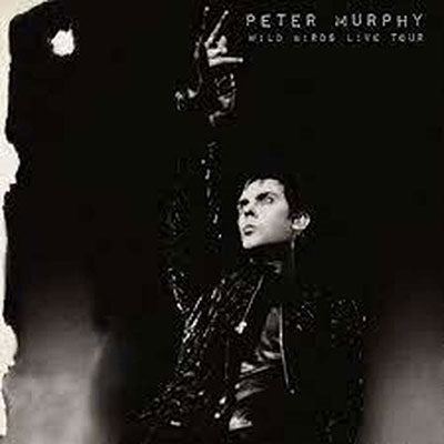 Peter Purphy - Wild Birds Live Tour - Import CD
